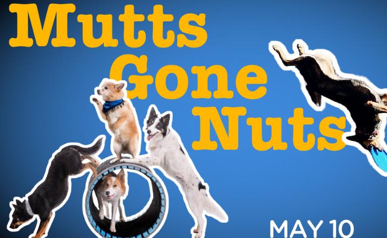Mutts Gone Nuts - Unleashed!